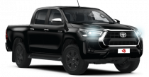 GWM Poer KingKong